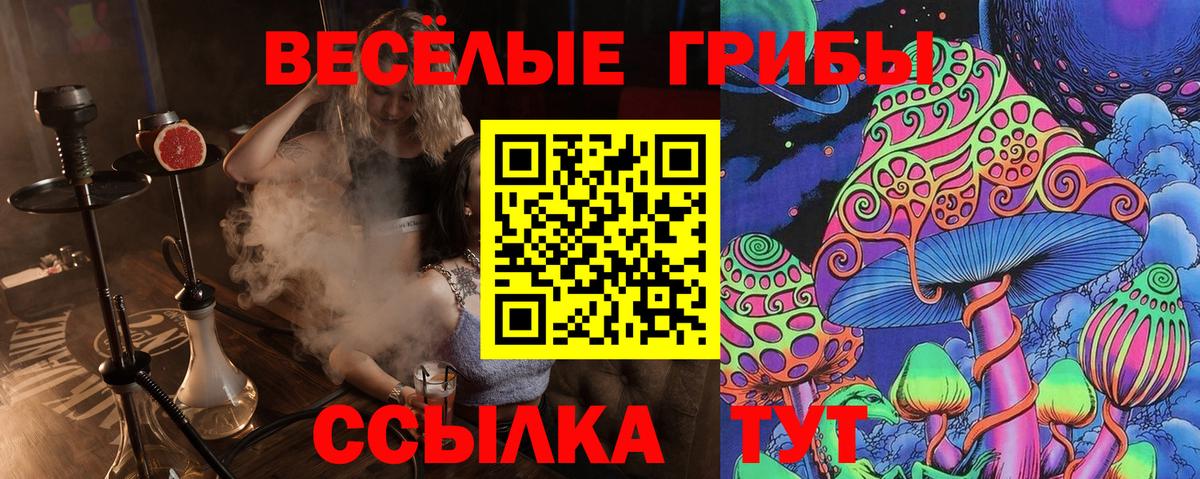 Галлюциногенные грибы MAGIC MUSHROOMS  Вход с VPN  Щёлково 
