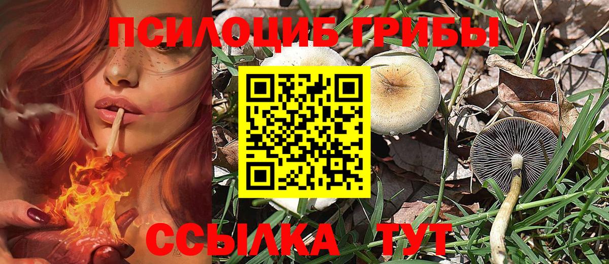 Галлюциногенные грибы MAGIC MUSHROOMS Щёлково